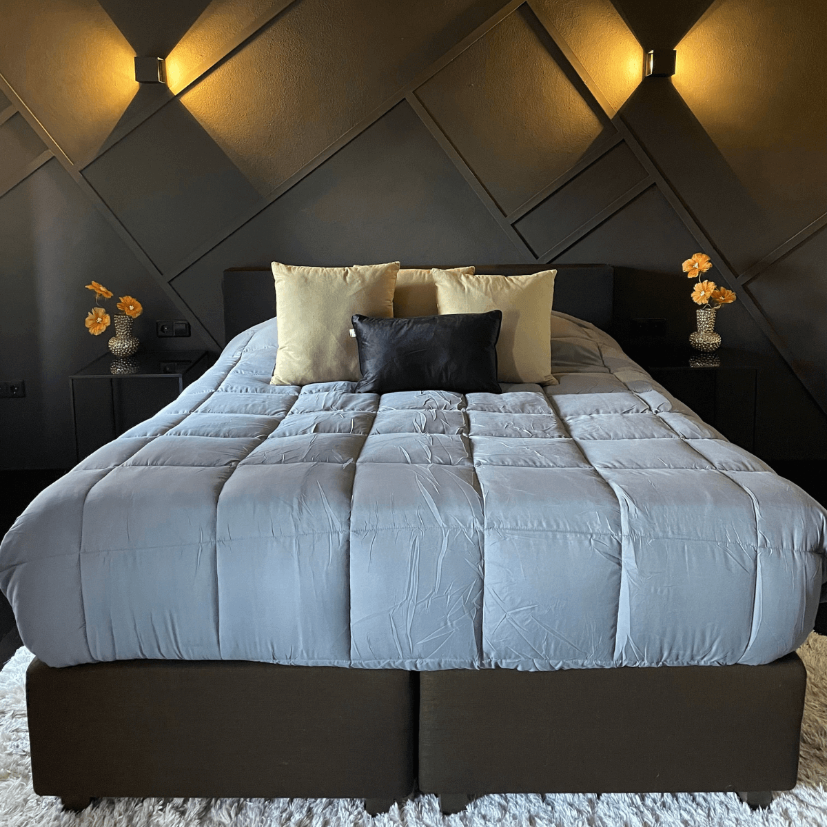 Zelesta Easybed - Anthracite & Rouge