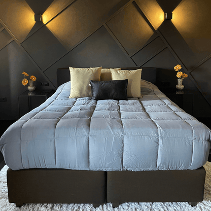 Zelesta Easybed - Anthracite & Rouge
