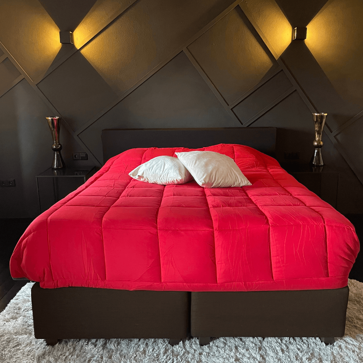 Zelesta Easybed Light - Anthracite & Rouge