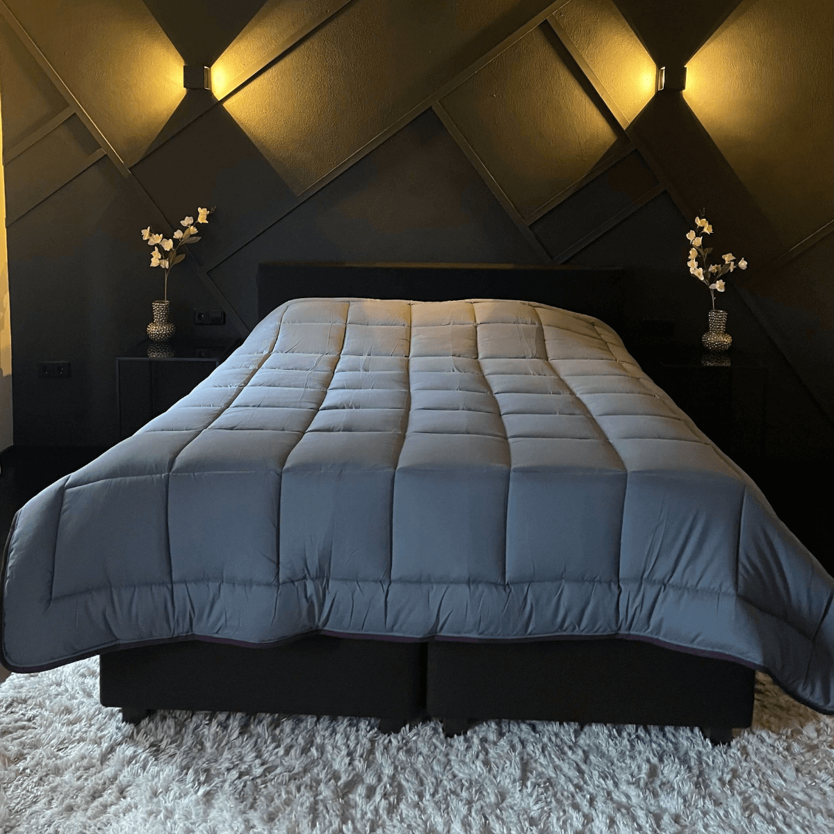 Zelesta Easybed Light - Violet & Anthracite