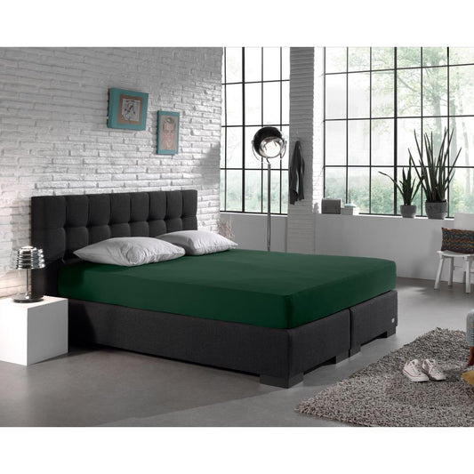 Drap-housse Single Jersey Vert botanique